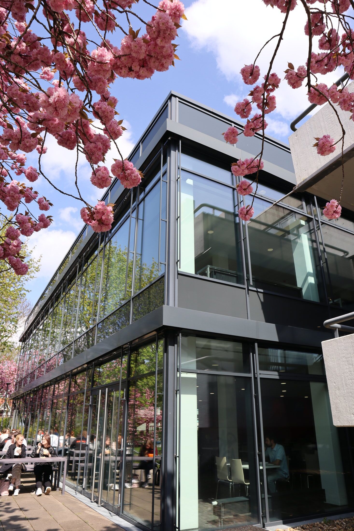 Moderne Glasfassade eines Gebäudes, umgeben von blühenden Kirschbäumen und einer Terrasse mit Sitzmöglichkeiten.