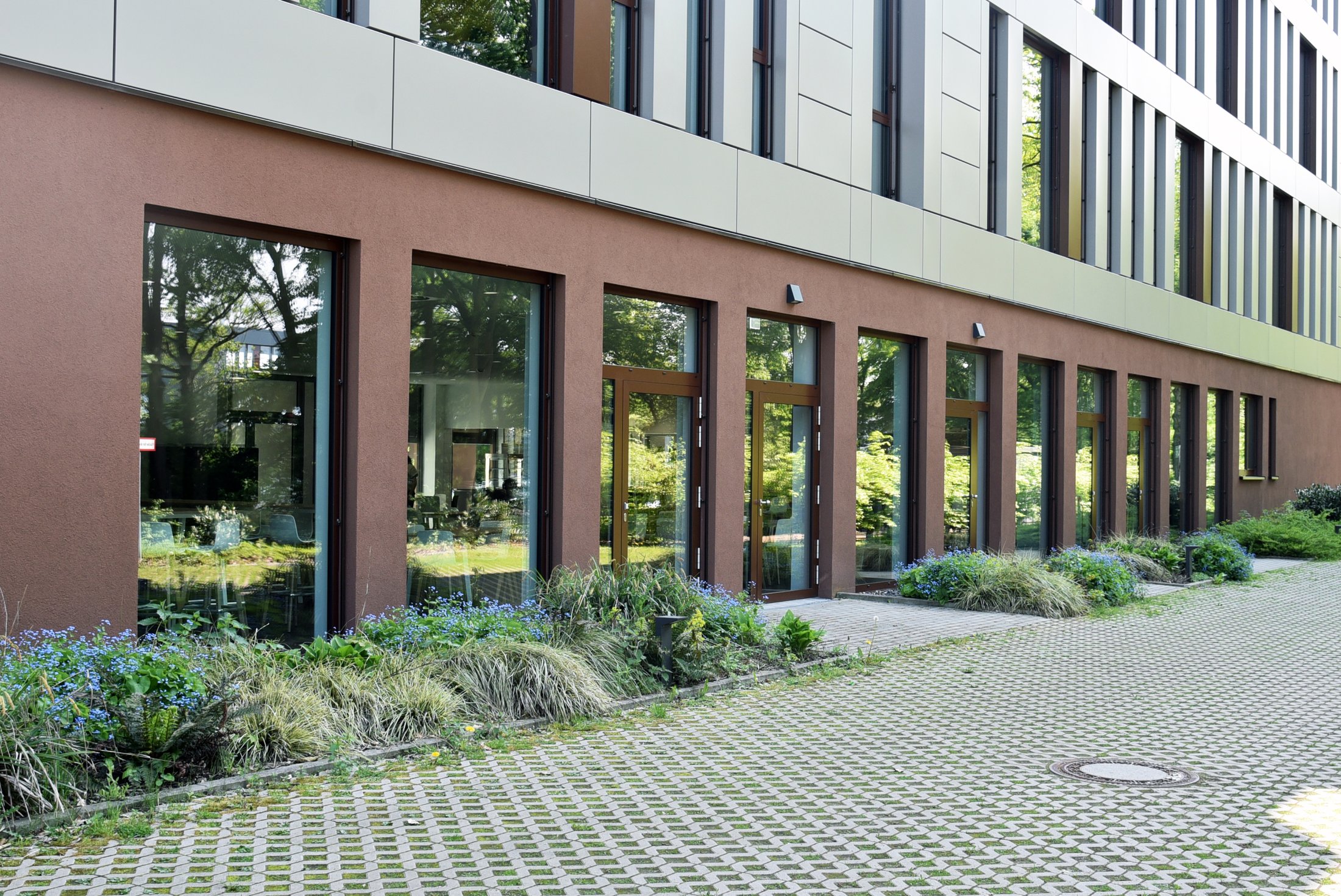 Fassade des Mensagebäudes mit großen Fenstern, umgeben von Blumen und Sträuchern, auf einem gepflasterten Weg.