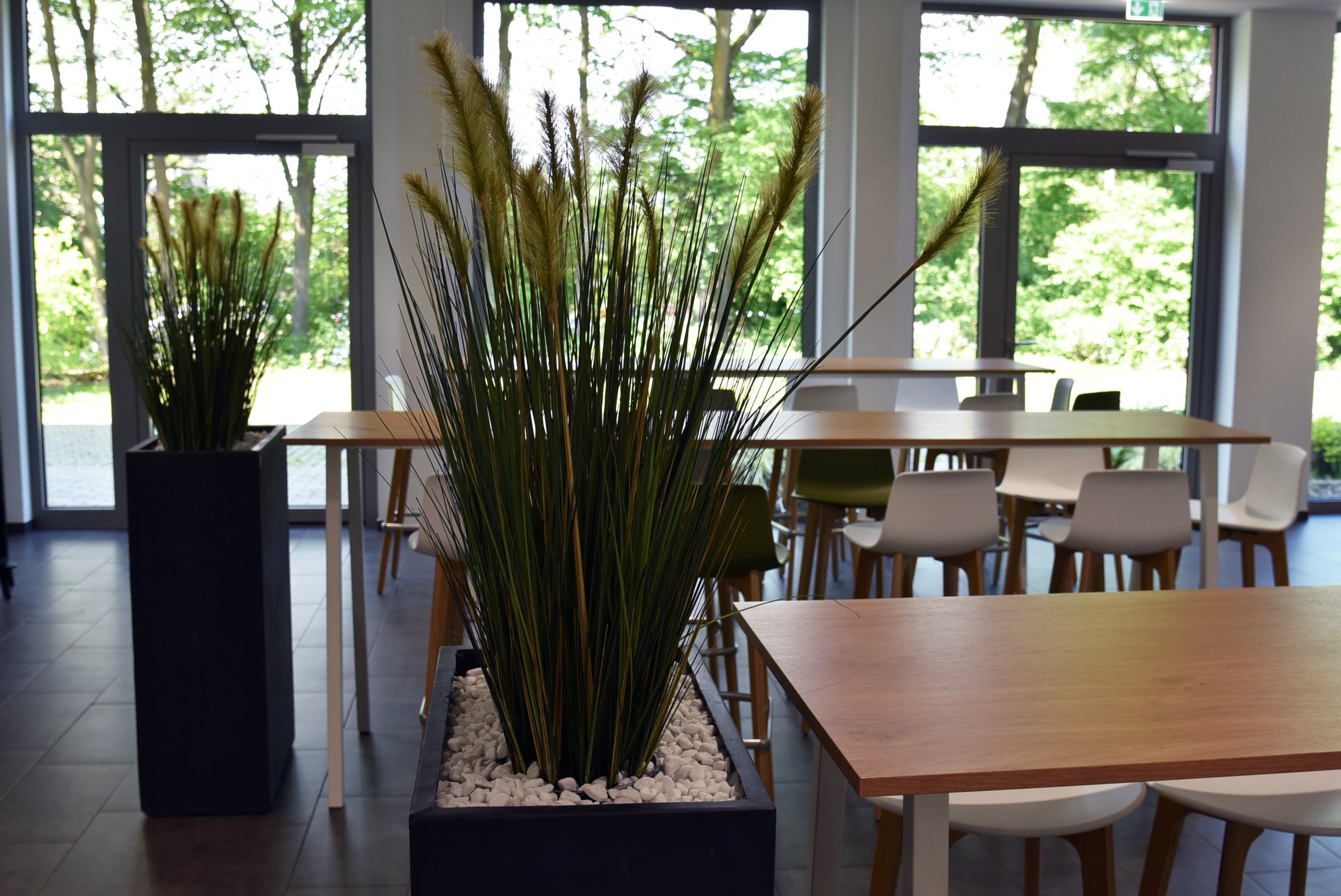 Helle Gastronomieräumlichkeit mit modernen Tischen, Stühlen und dekorativen Pflanzen in großen Kübeln.