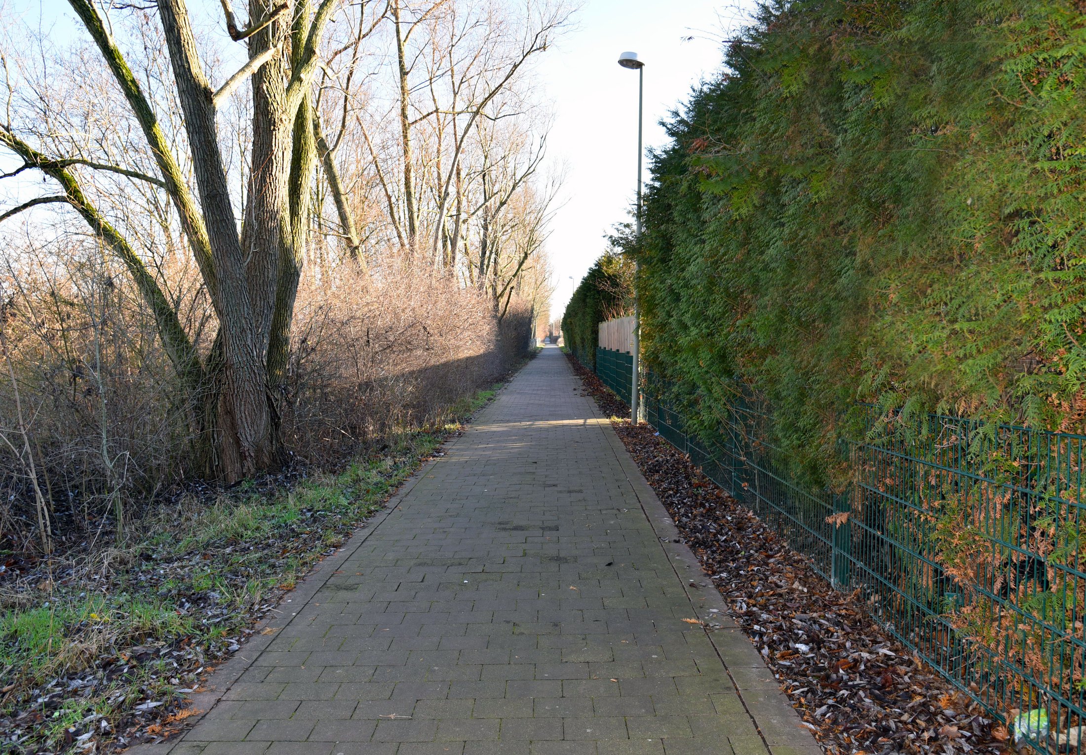 Paderborn-Uhlandstraße: Gepflasterter Weg gesäumt von Bäumen und Hecken, saisonal mit Laub bedeckt.